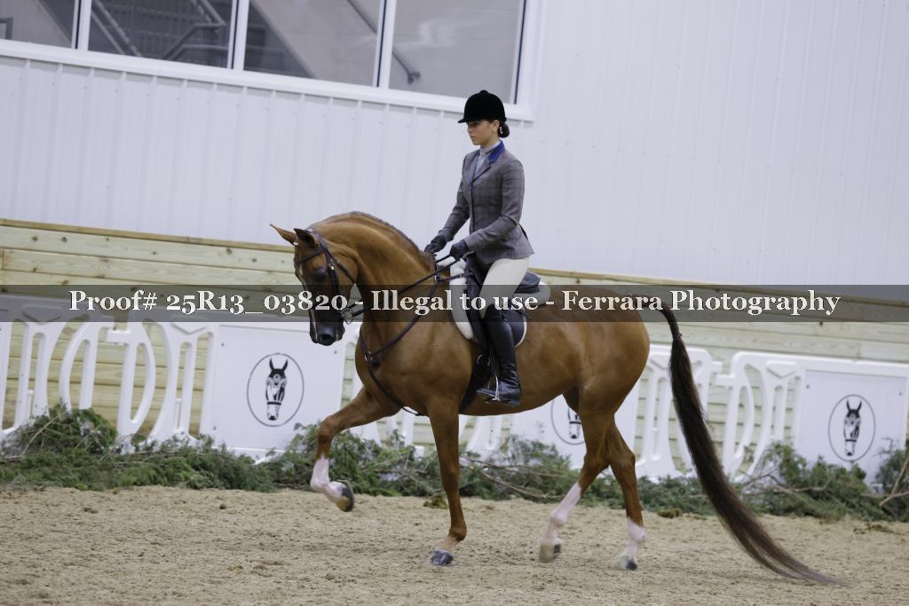 Proof Number 25R13_03820