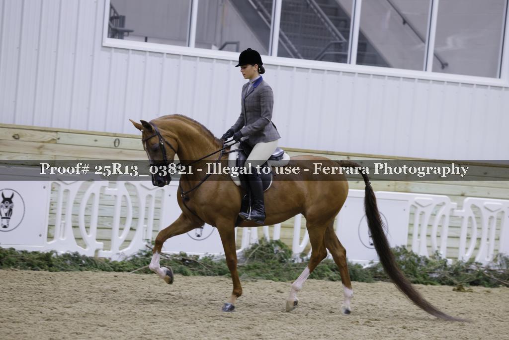 Proof Number 25R13_03821