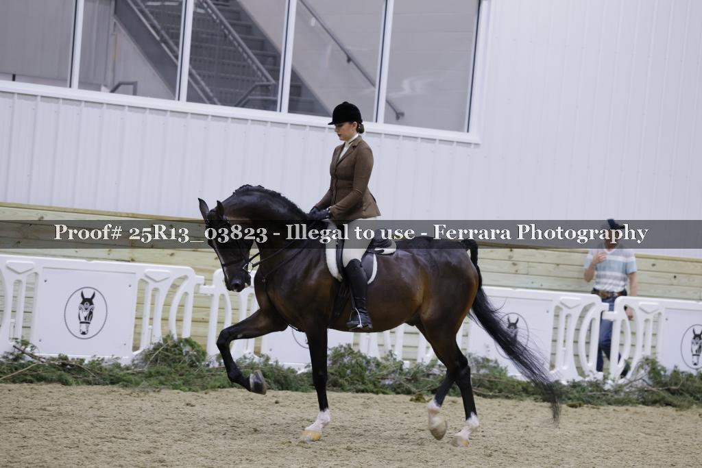 Proof Number 25R13_03823