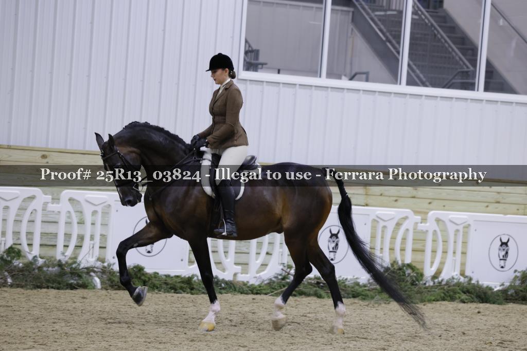Proof Number 25R13_03824