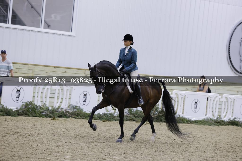 Proof Number 25R13_03825