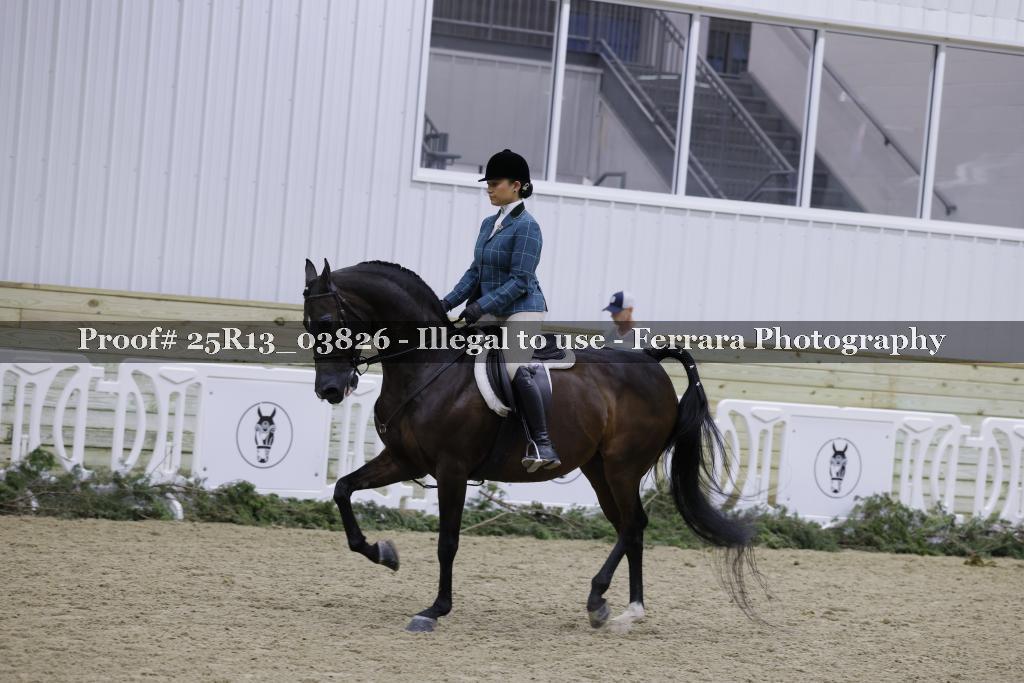 Proof Number 25R13_03826