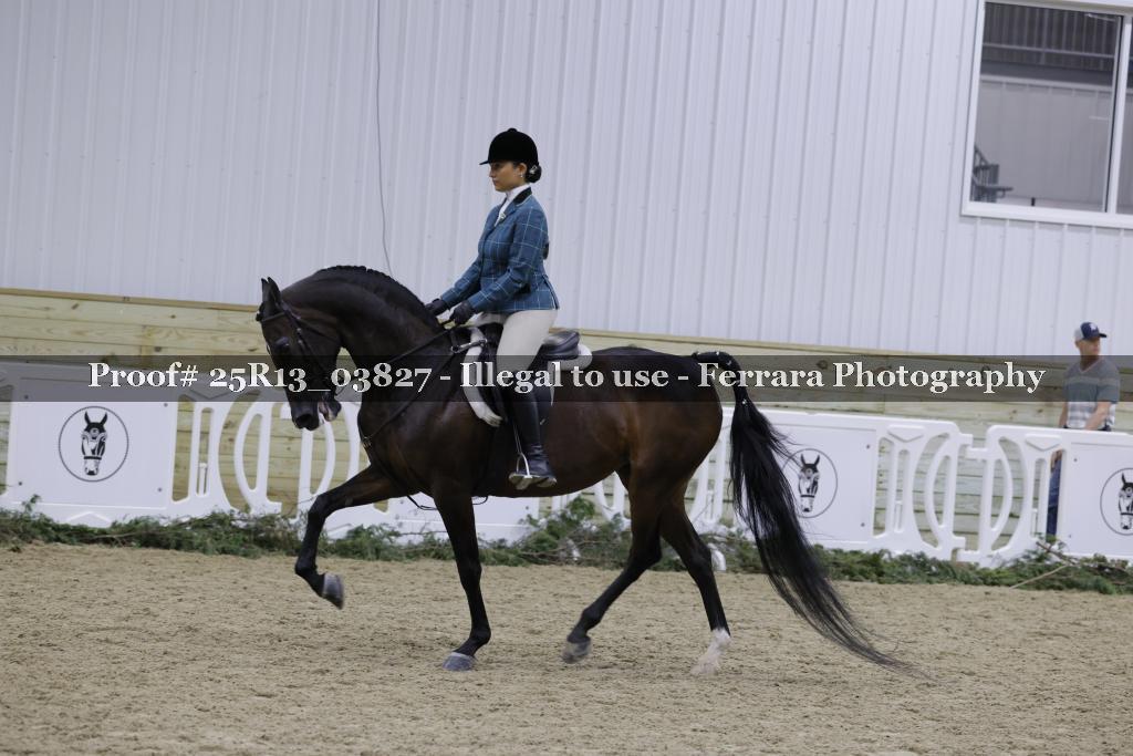 Proof Number 25R13_03827