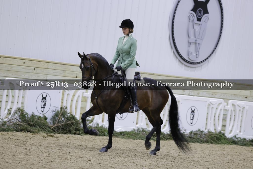 Proof Number 25R13_03828
