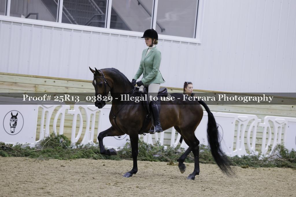 Proof Number 25R13_03829