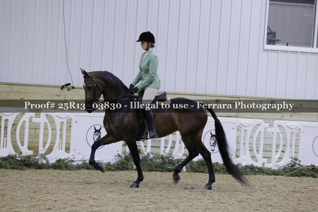 Proof Number 25R13_03830