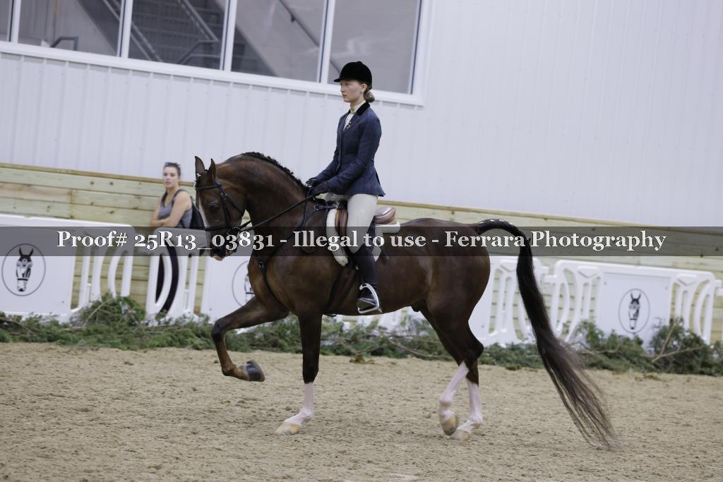 Proof Number 25R13_03831