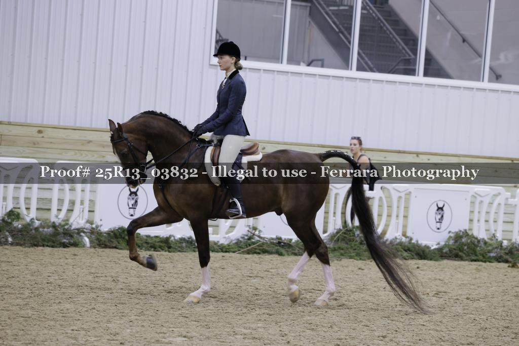 Proof Number 25R13_03832