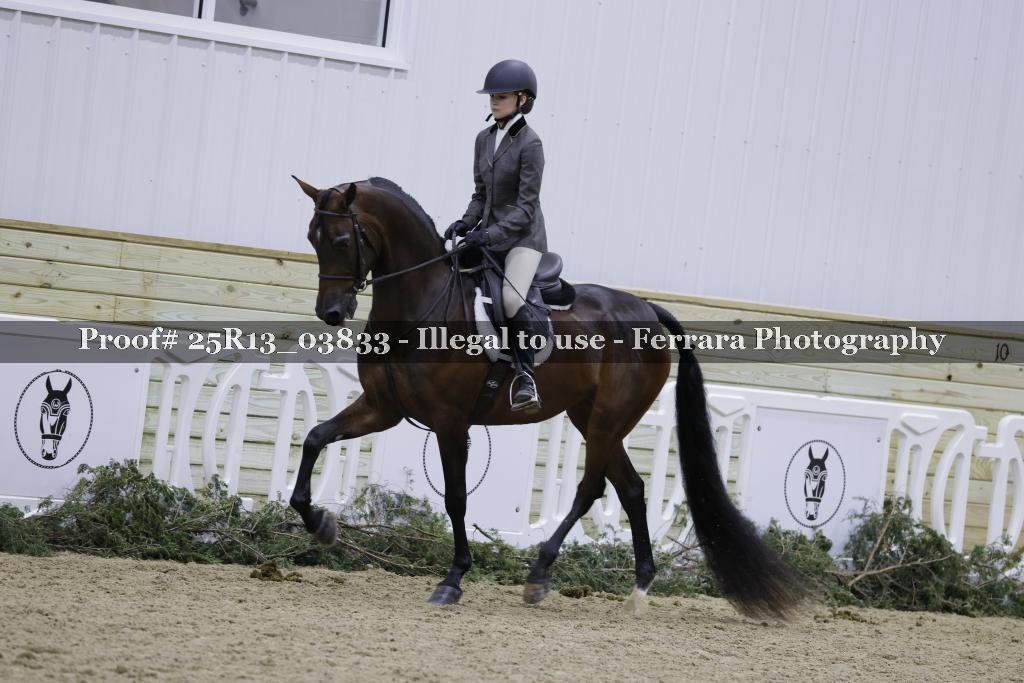 Proof Number 25R13_03833