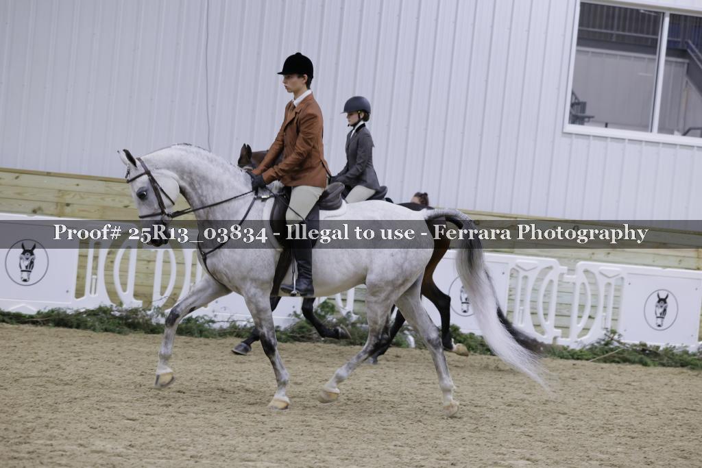 Proof Number 25R13_03834