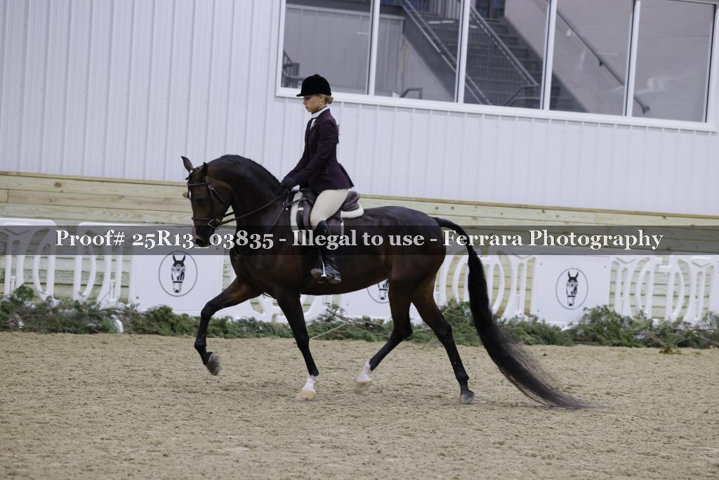 Proof Number 25R13_03835