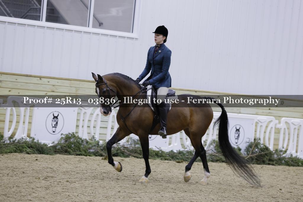 Proof Number 25R13_03836