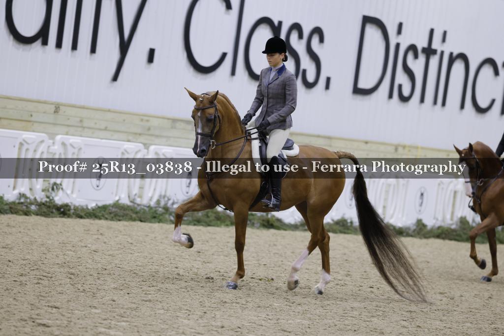 Proof Number 25R13_03838