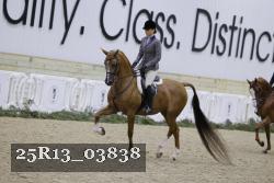 25R13_03838 thumbnail