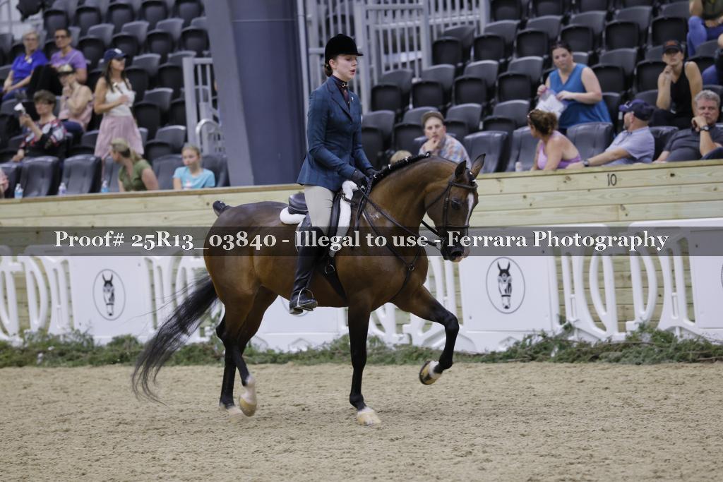 Proof Number 25R13_03840