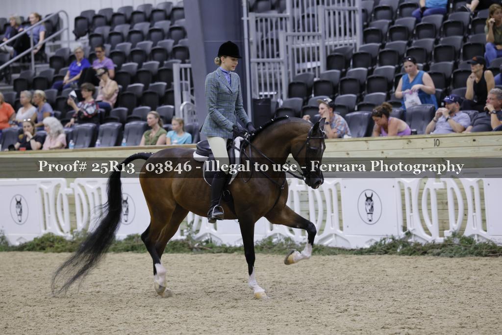 Proof Number 25R13_03846