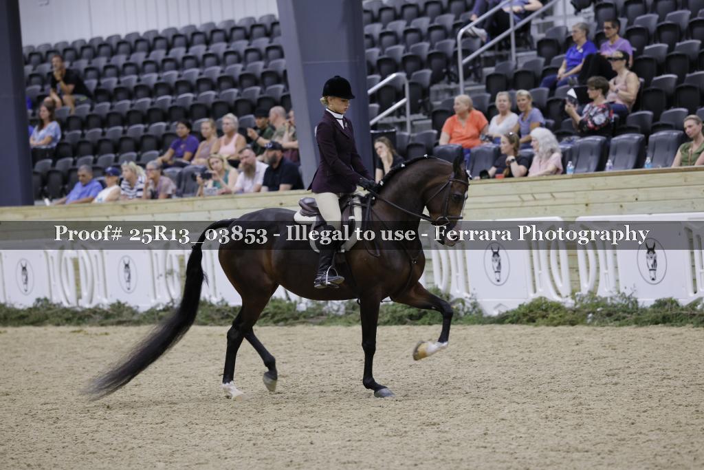 Proof Number 25R13_03853