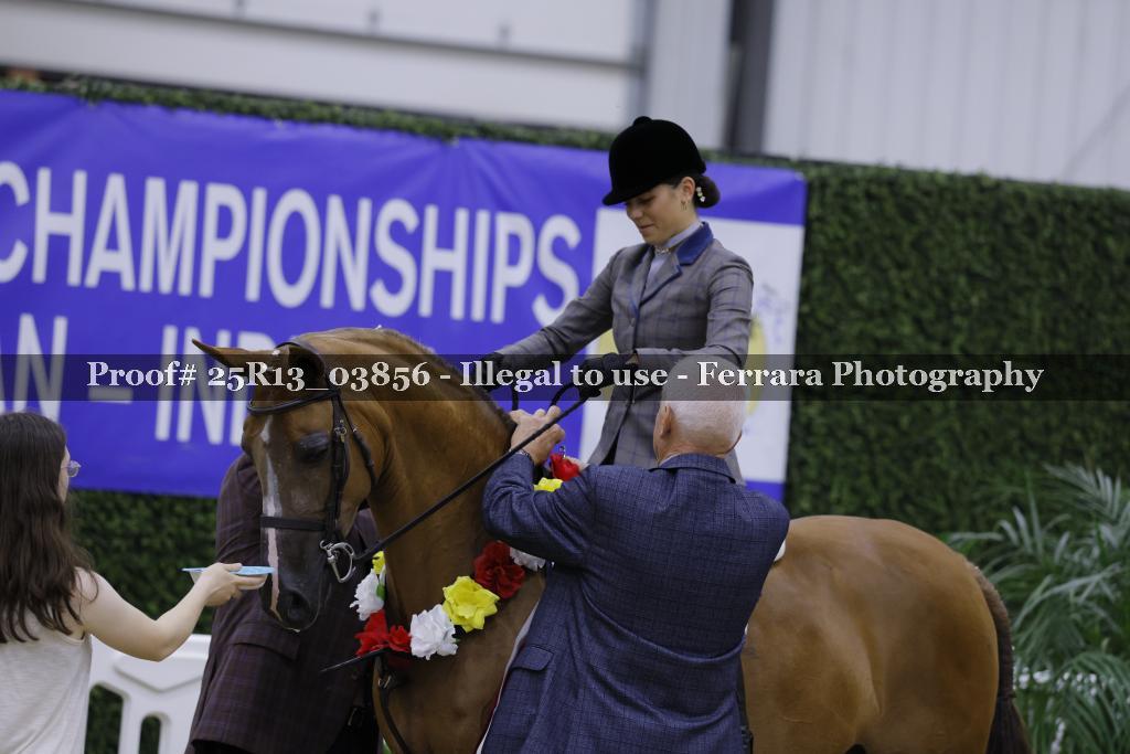 Proof Number 25R13_03856