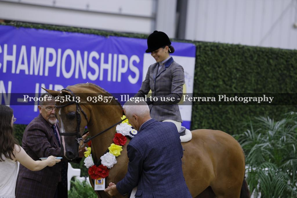 Proof Number 25R13_03857