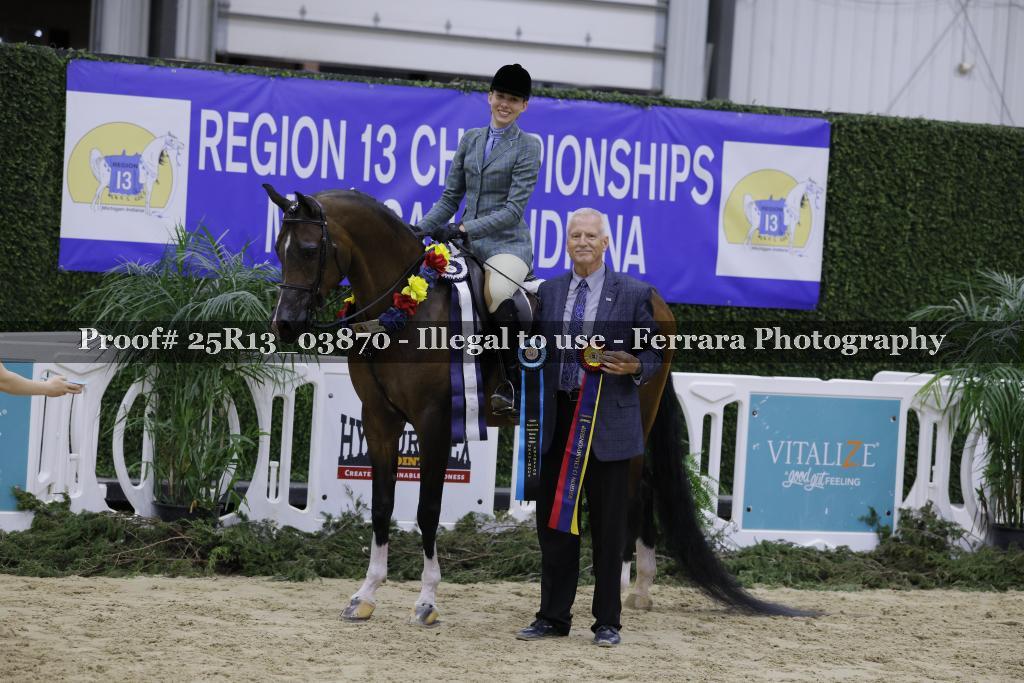Proof Number 25R13_03870