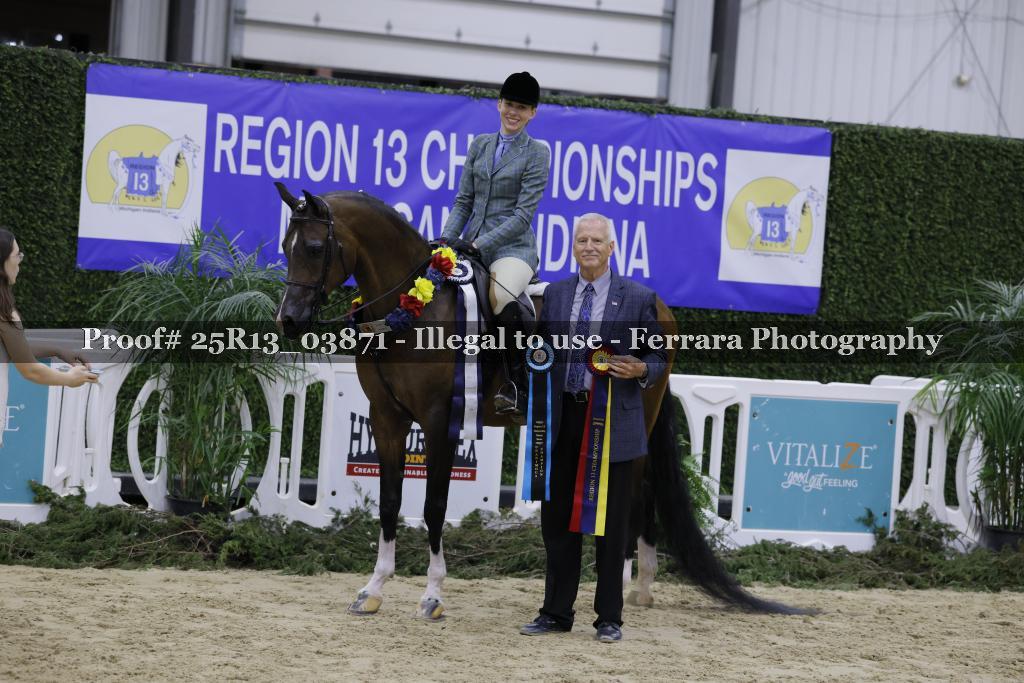 Proof Number 25R13_03871
