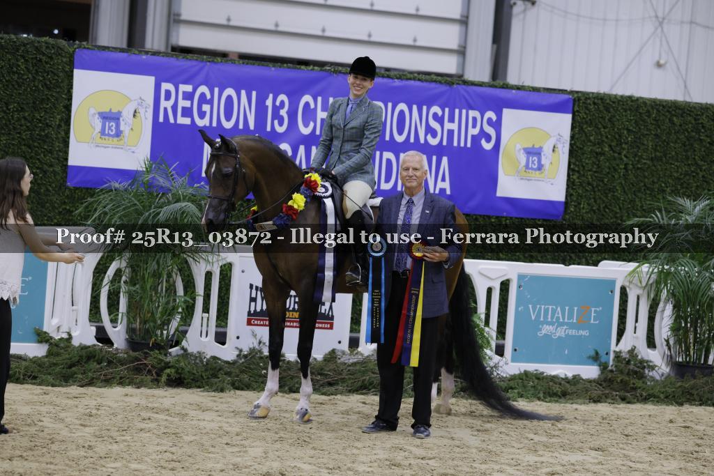 Proof Number 25R13_03872