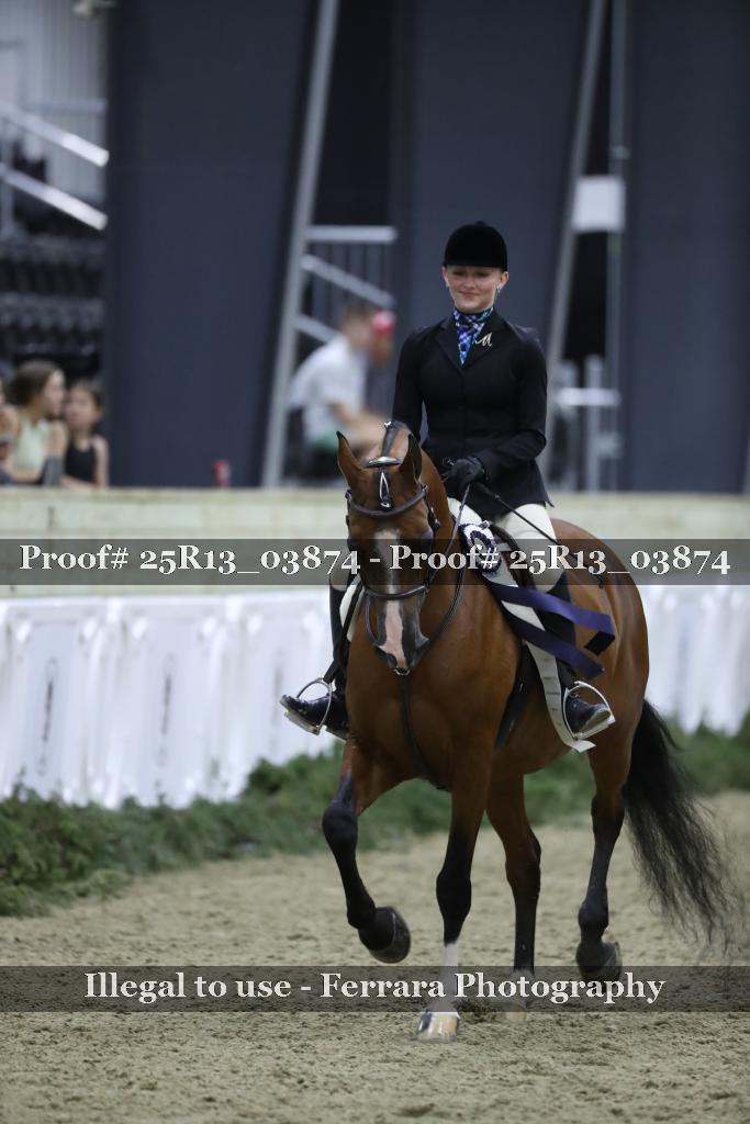 Proof Number 25R13_03874