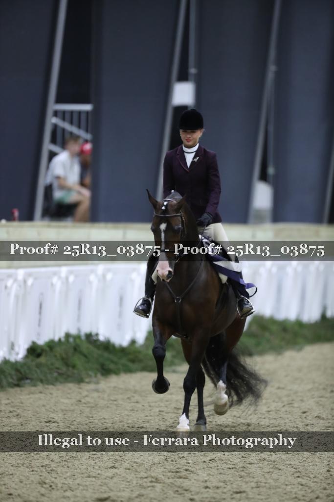 Proof Number 25R13_03875