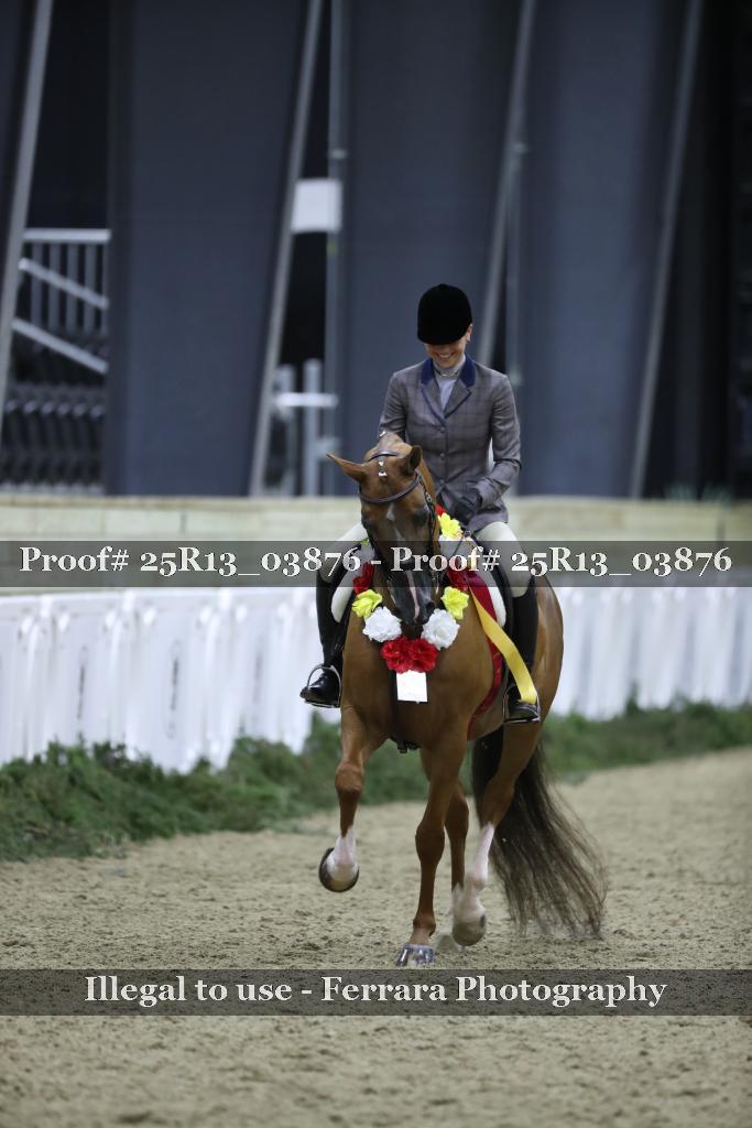 Proof Number 25R13_03876