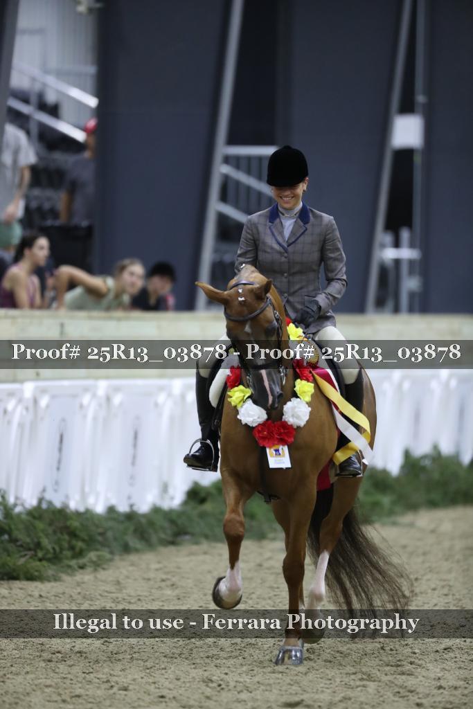 Proof Number 25R13_03878