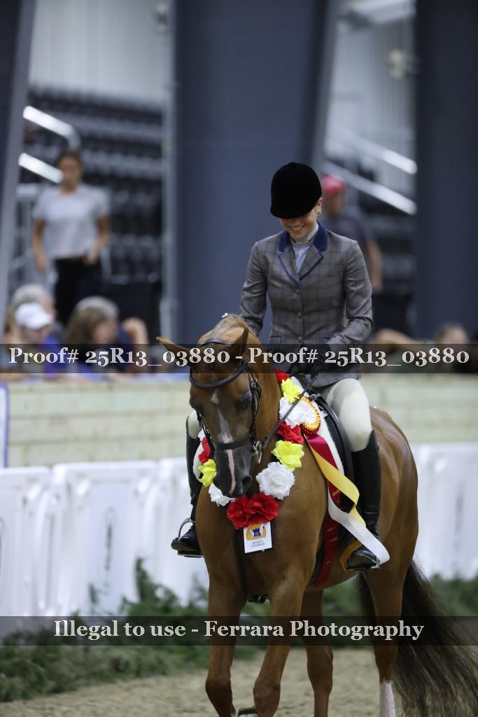 Proof Number 25R13_03880