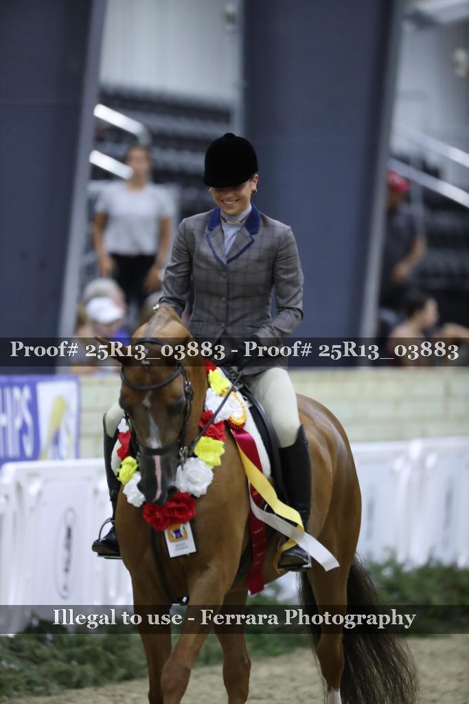 Proof Number 25R13_03883