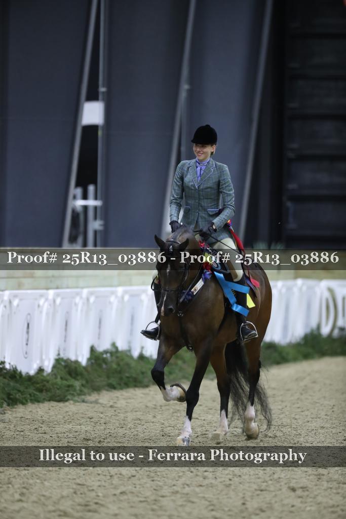 Proof Number 25R13_03886