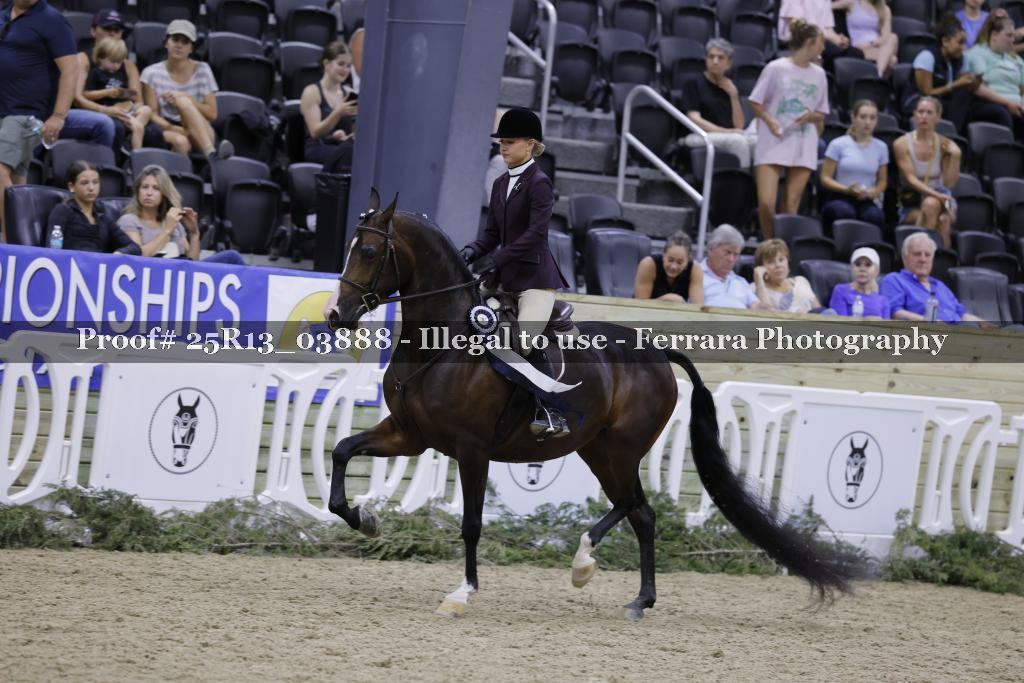 Proof Number 25R13_03888
