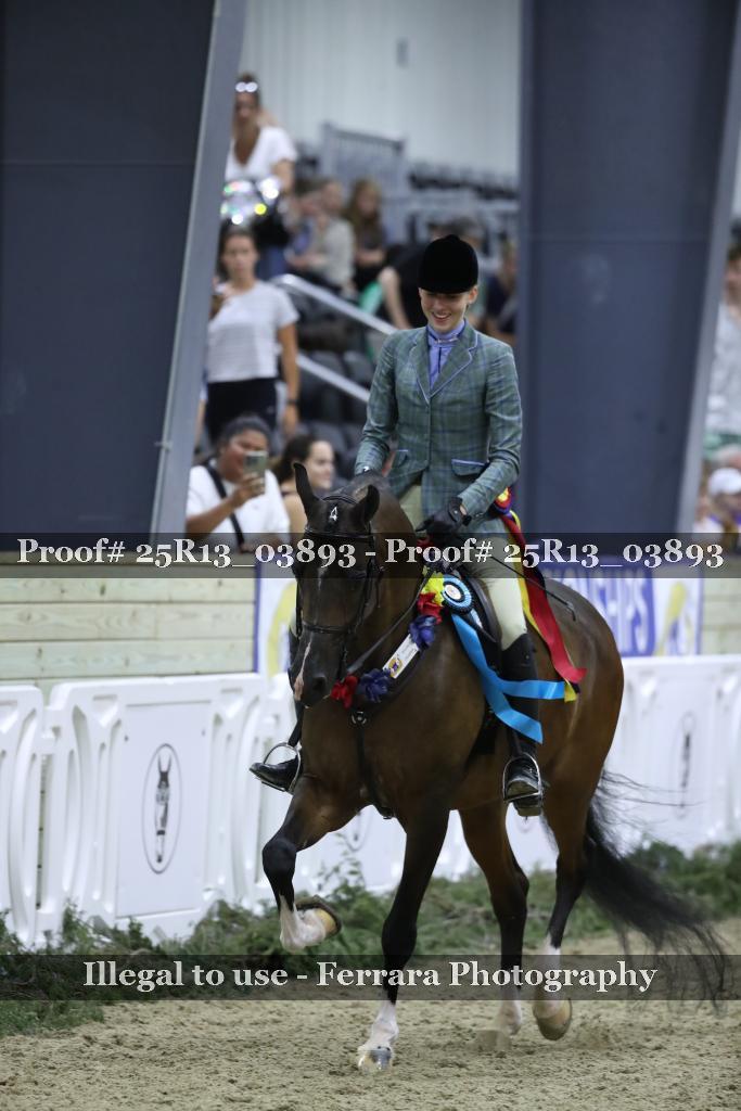 Proof Number 25R13_03893