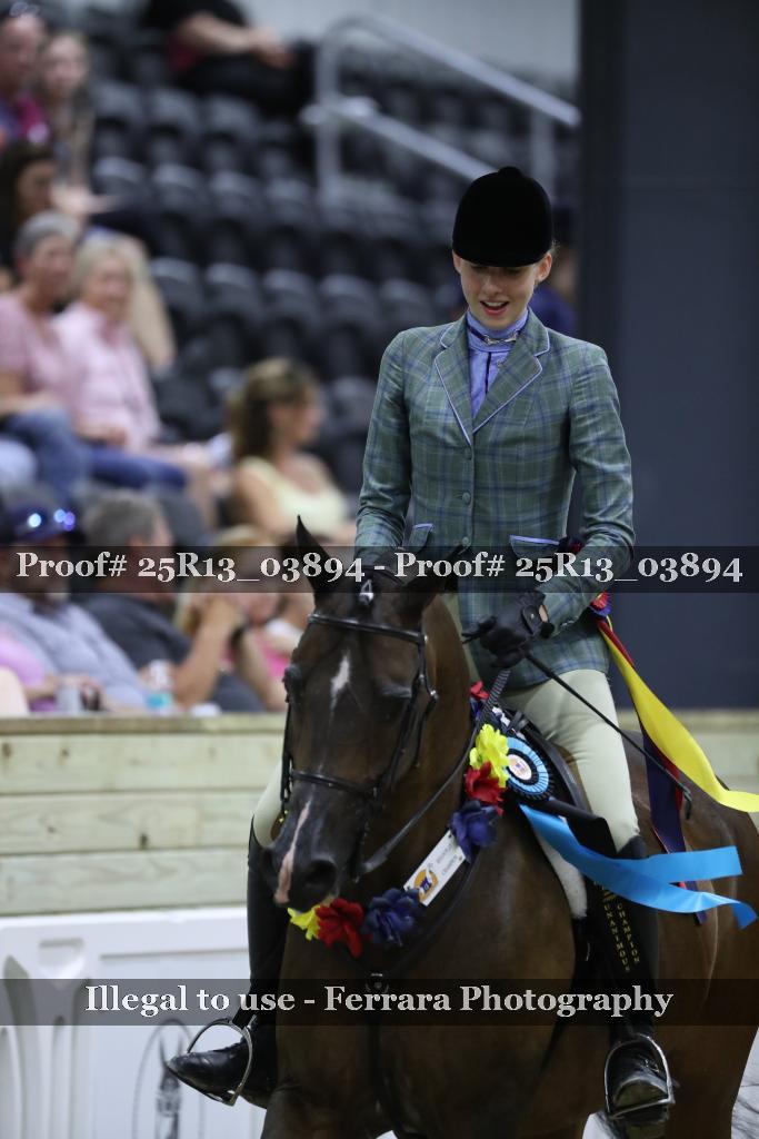 Proof Number 25R13_03894