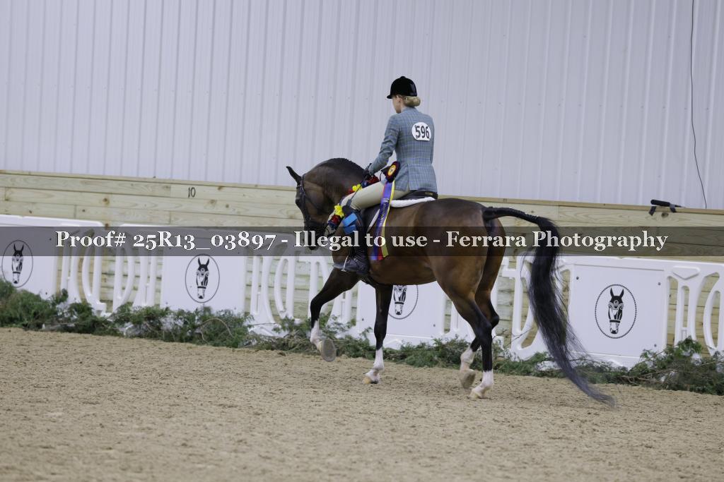 Proof Number 25R13_03897