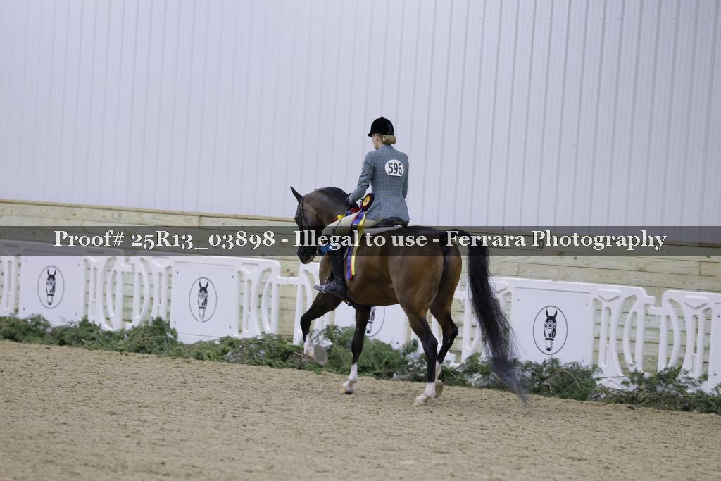 Proof Number 25R13_03898