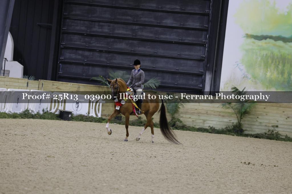 Proof Number 25R13_03900