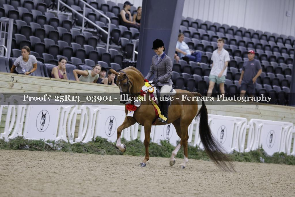 Proof Number 25R13_03901
