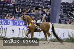 25R13_03904 thumbnail