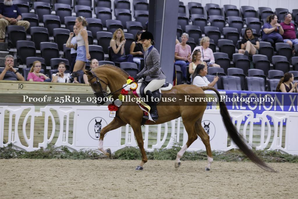 Proof Number 25R13_03906