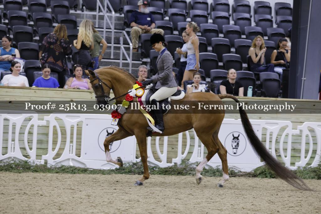 Proof Number 25R13_03907