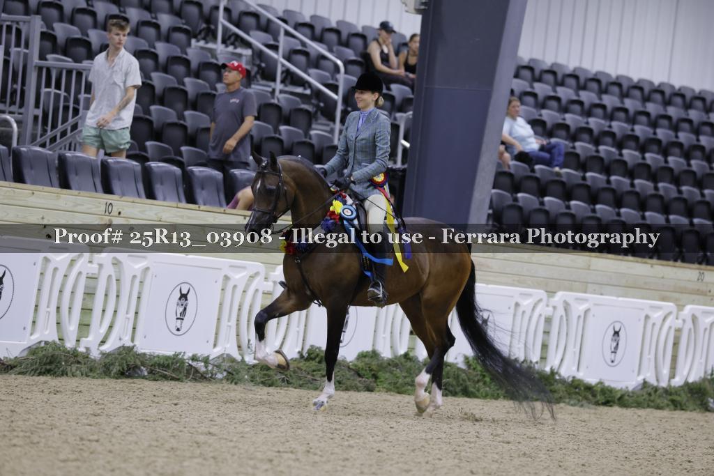 Proof Number 25R13_03908
