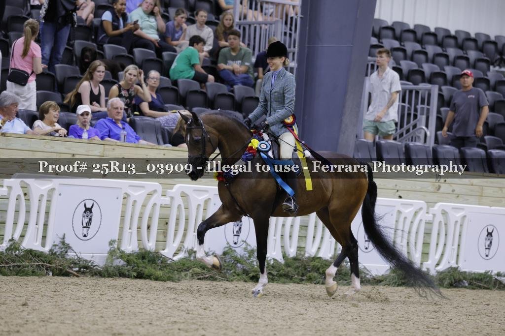 Proof Number 25R13_03909