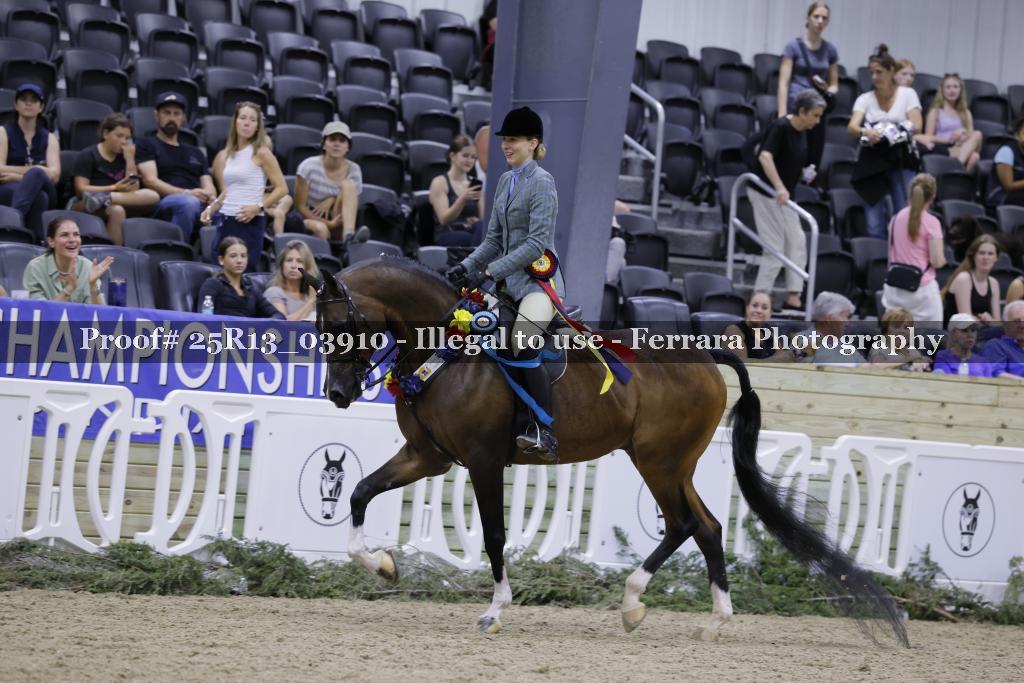 Proof Number 25R13_03910