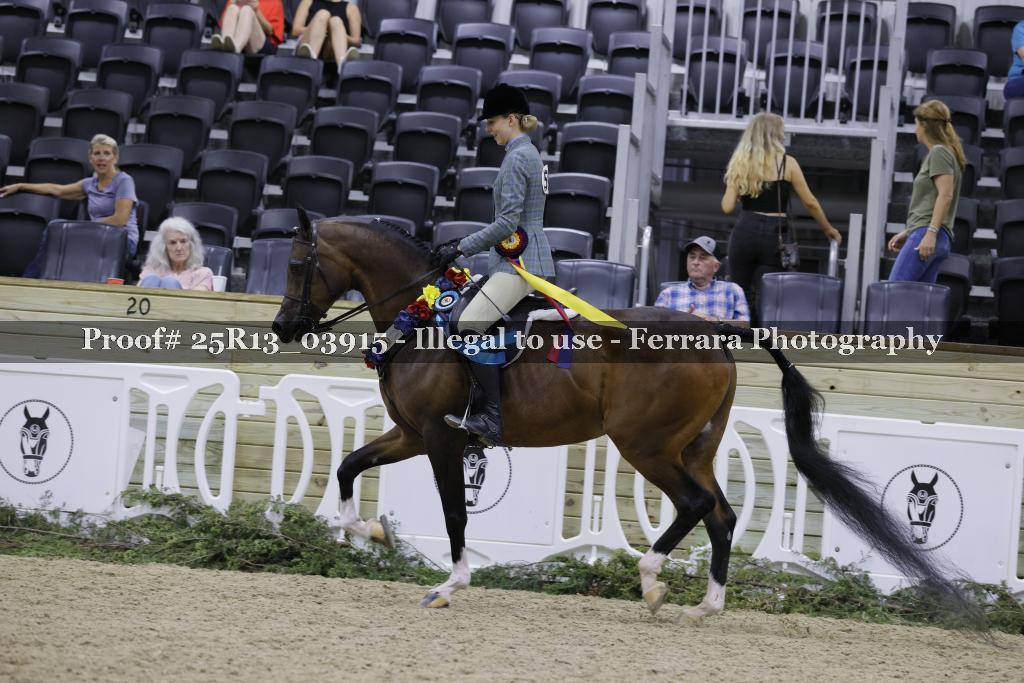 Proof Number 25R13_03915