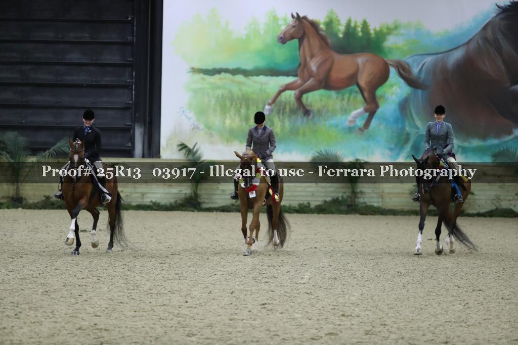 Proof Number 25R13_03917
