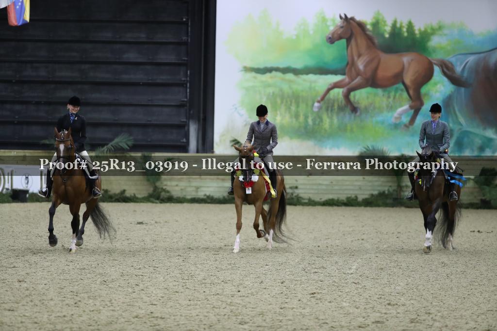 Proof Number 25R13_03919
