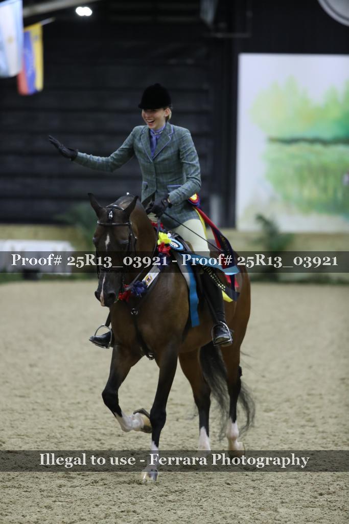 Proof Number 25R13_03921